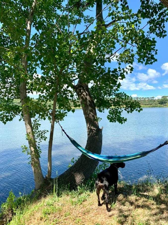 Lake House I Pioppi Nepi ภายนอก รูปภาพ